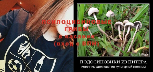 молекула духа Верхний Тагил
