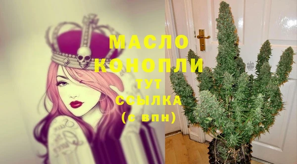 молекула духа Верхний Тагил