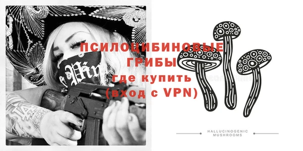 молекула духа Верхний Тагил