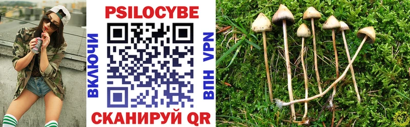 Купить где  Тында  Псилоцибиновые грибы Psilocybine cubensis 